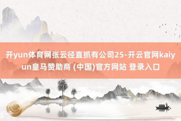 开yun体育网张云径直抓有公司25-开云官网kaiyun皇马赞助商 (中国)官方网站 登录入口