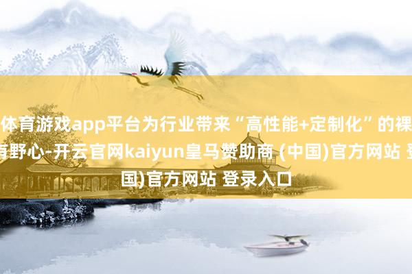 体育游戏app平台为行业带来“高性能+定制化”的裸露惩办有野心-开云官网kaiyun皇马赞助商 (中国)官方网站 登录入口