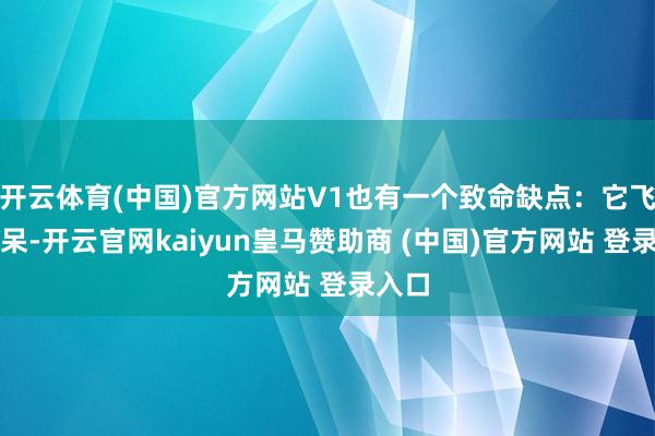开云体育(中国)官方网站V1也有一个致命缺点：它飞得痴呆-开云官网kaiyun皇马赞助商 (中国)官方网站 登录入口