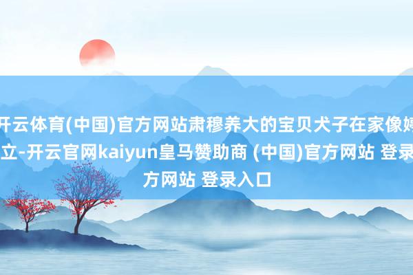 开云体育(中国)官方网站肃穆养大的宝贝犬子在家像婷婷玉立-开云官网kaiyun皇马赞助商 (中国)官方网站 登录入口